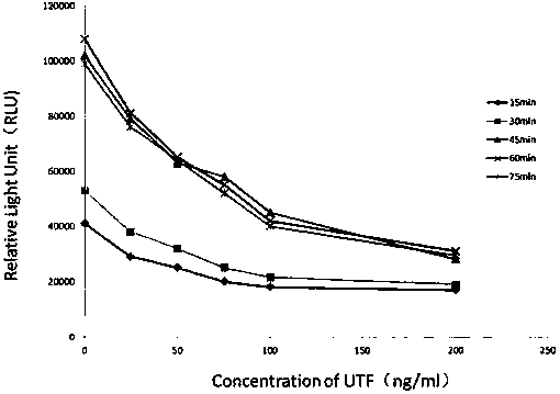 Kit for detecting urine transferrin through chemiluminescence enzyme immunoassay method, and preparation method thereof