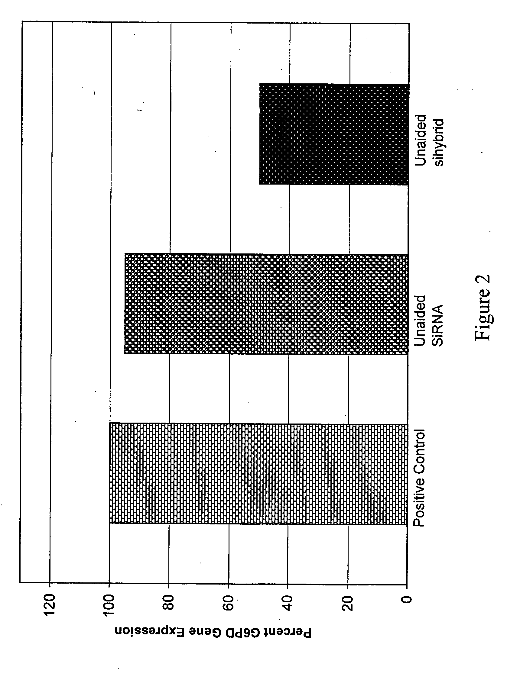 Short interfering nucleic acid hybrids and methods thereof