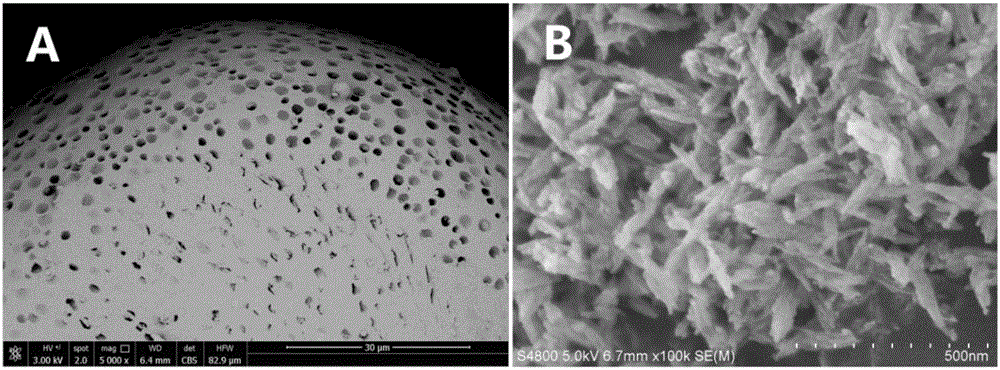 Controlled preparation method of surface porous structure of polylactic acid/HAP (hydroxyapatite) composite microspheres and application