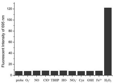 Preparation method and application of hydrogen peroxide ratio type fluorescent molecular probe based on DCPO mother nucleus
