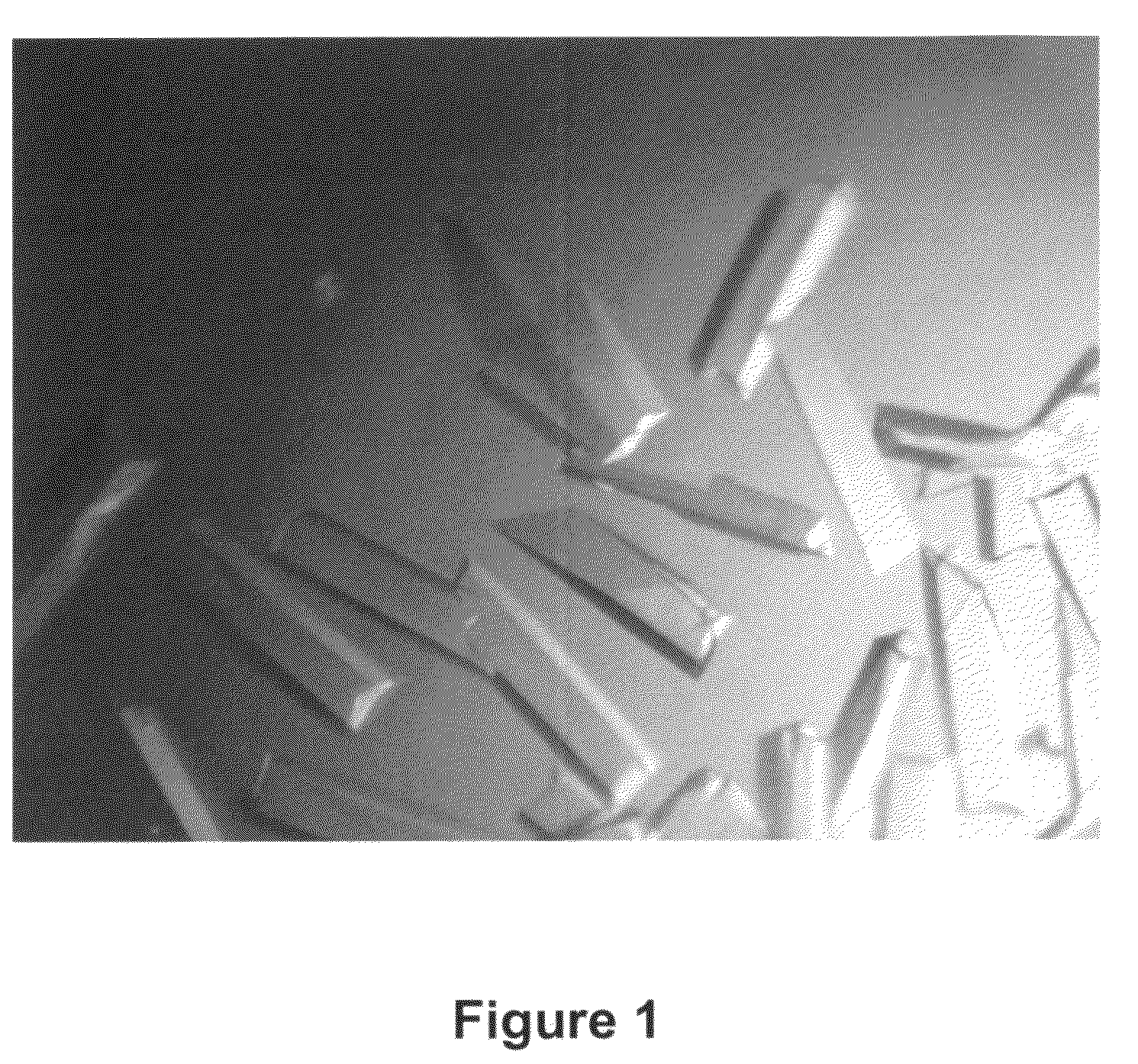 Compositions and methods for crystallizing antibody fragments