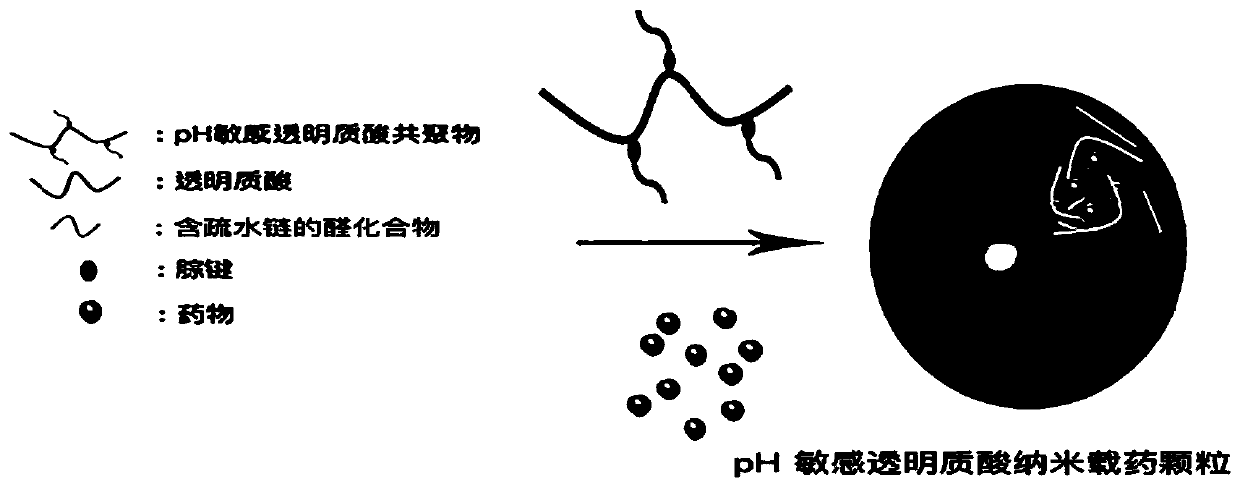 PH-sensitive hyaluronic acid nano drug-loading particles targeting atherosclerosis and preparation method thereof