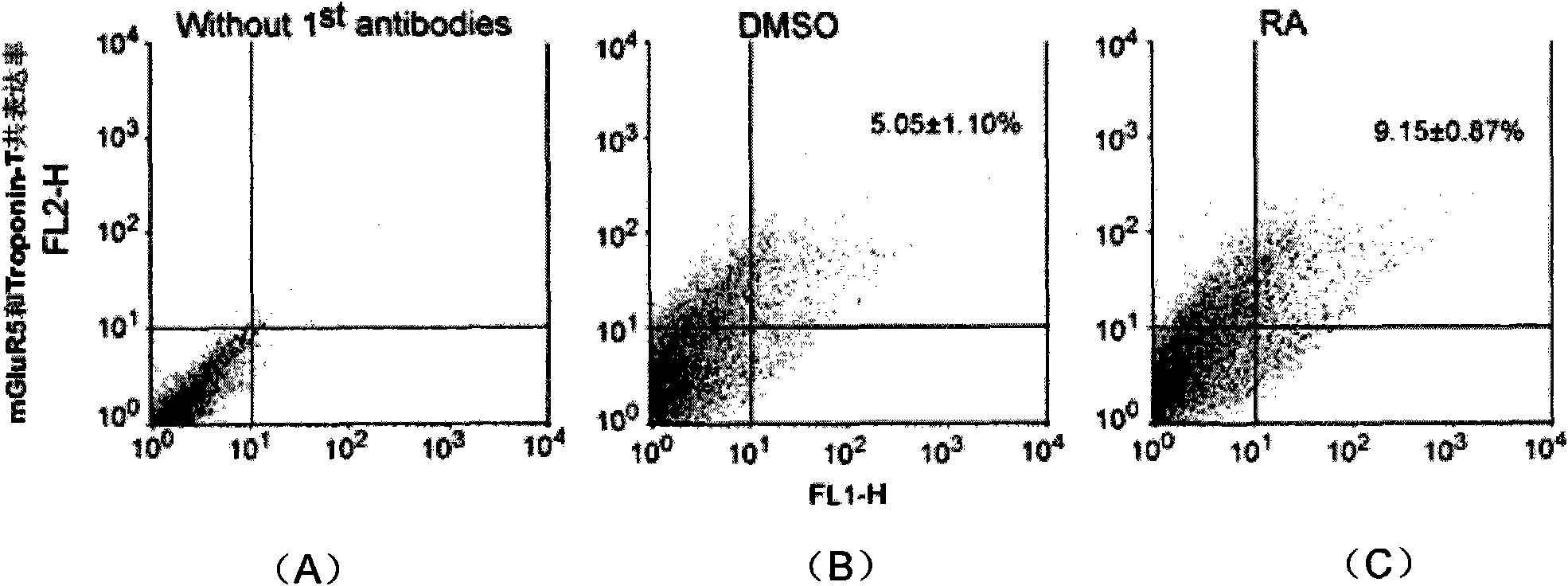 Application of glutamic acid receptor 5 in directionally differentiating embryonic stem cells to cardiac muscle cells