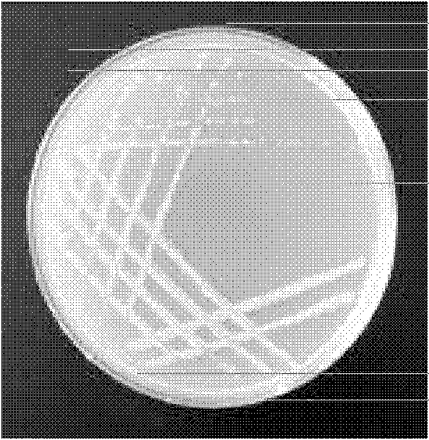 Microbial agent, and its preparation method and application