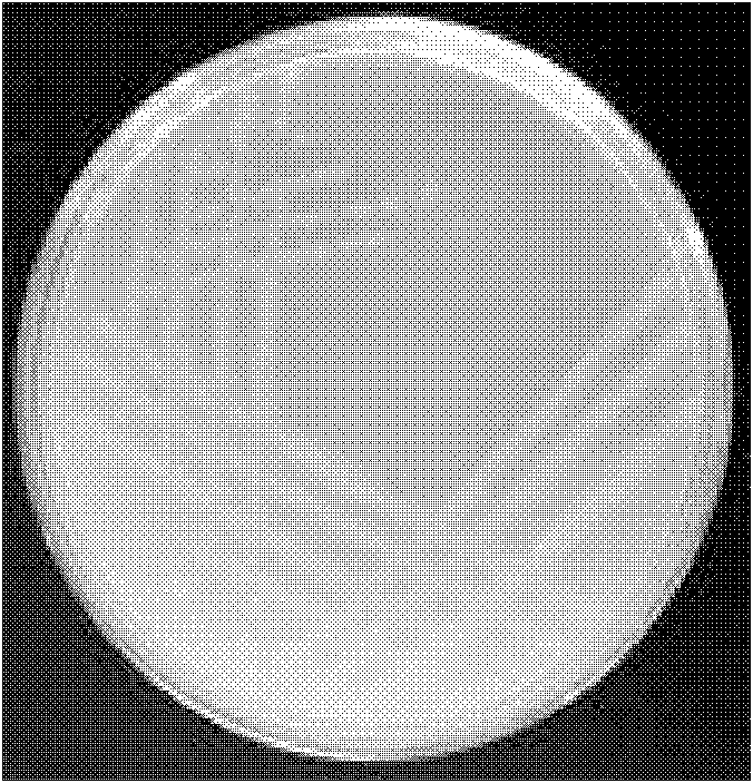 Microbial agent, and its preparation method and application