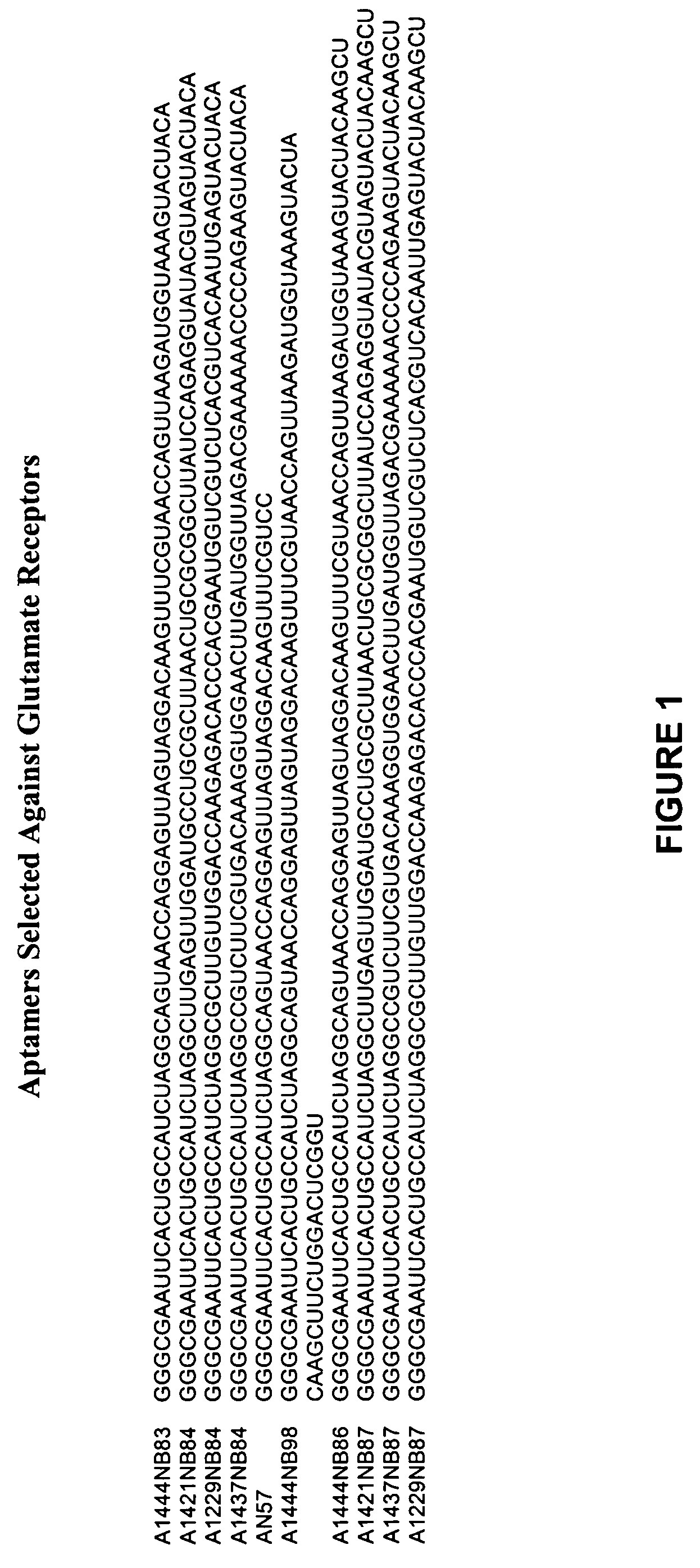 Nucleic acid inhibitors of glutamate receptors