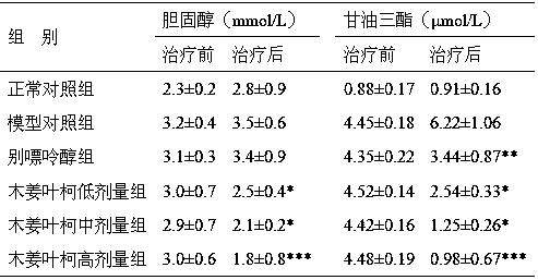 Application of lithocarpus litseifolius or active extract thereof