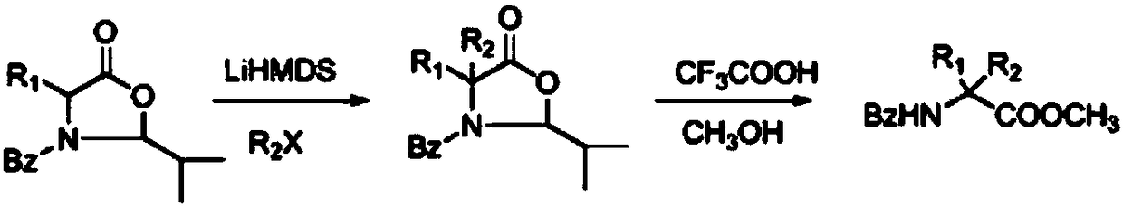 Alpha-aryl substituted amino acid derivative preparation method