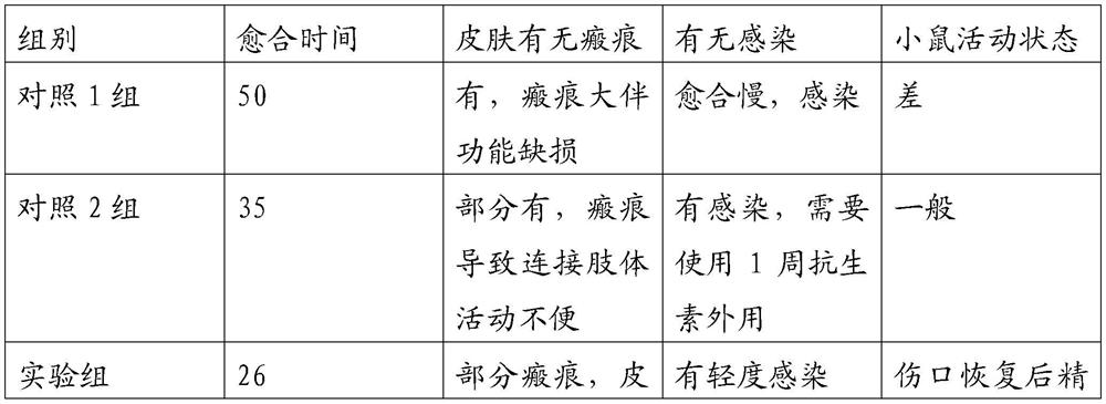 External traditional Chinese medicine preparation for treating scalds and burns and preparation method thereof