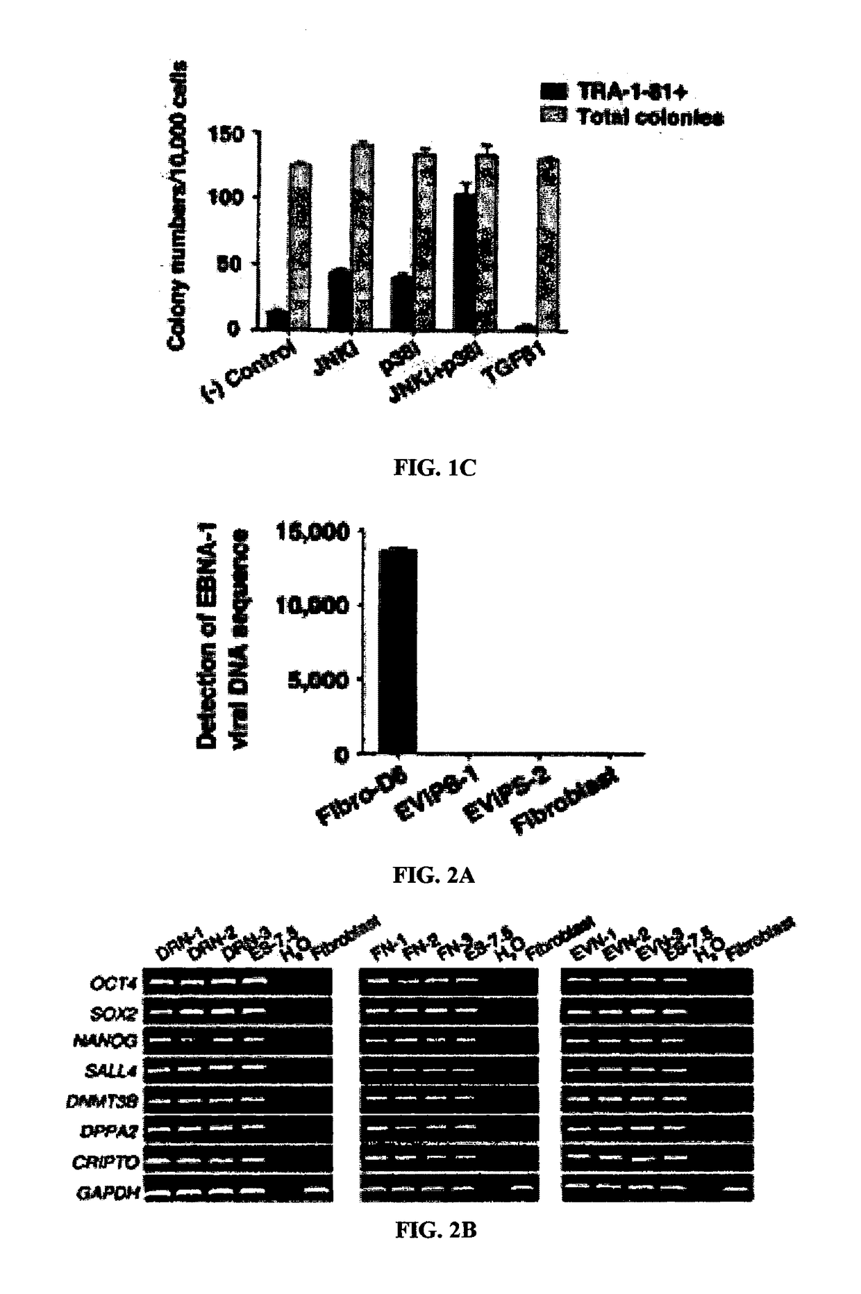 Tgfß signaling independent naïve induced pluripotent stem cells, methods of making and use