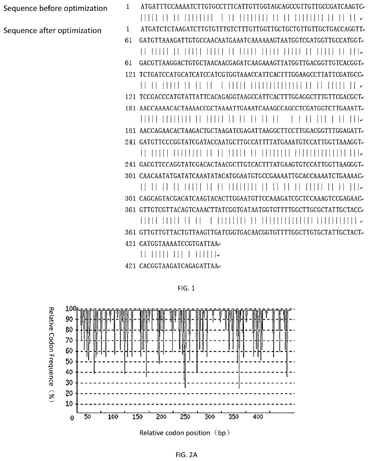 Recombinant <i>Dermatophagoides farinae </i>type 2 allergen protein and its preparation method and application