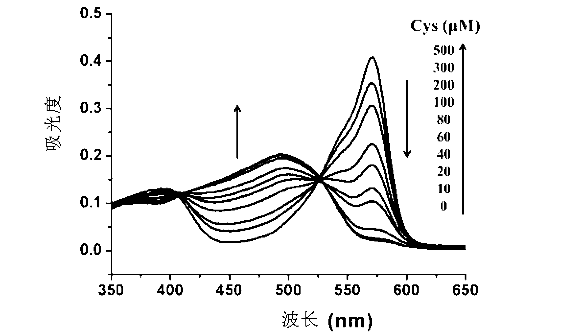 Fluorescence chemical sensor capable of selectively detecting biological sulfhydryl compound, preparation method and application of fluorescence chemical sensor