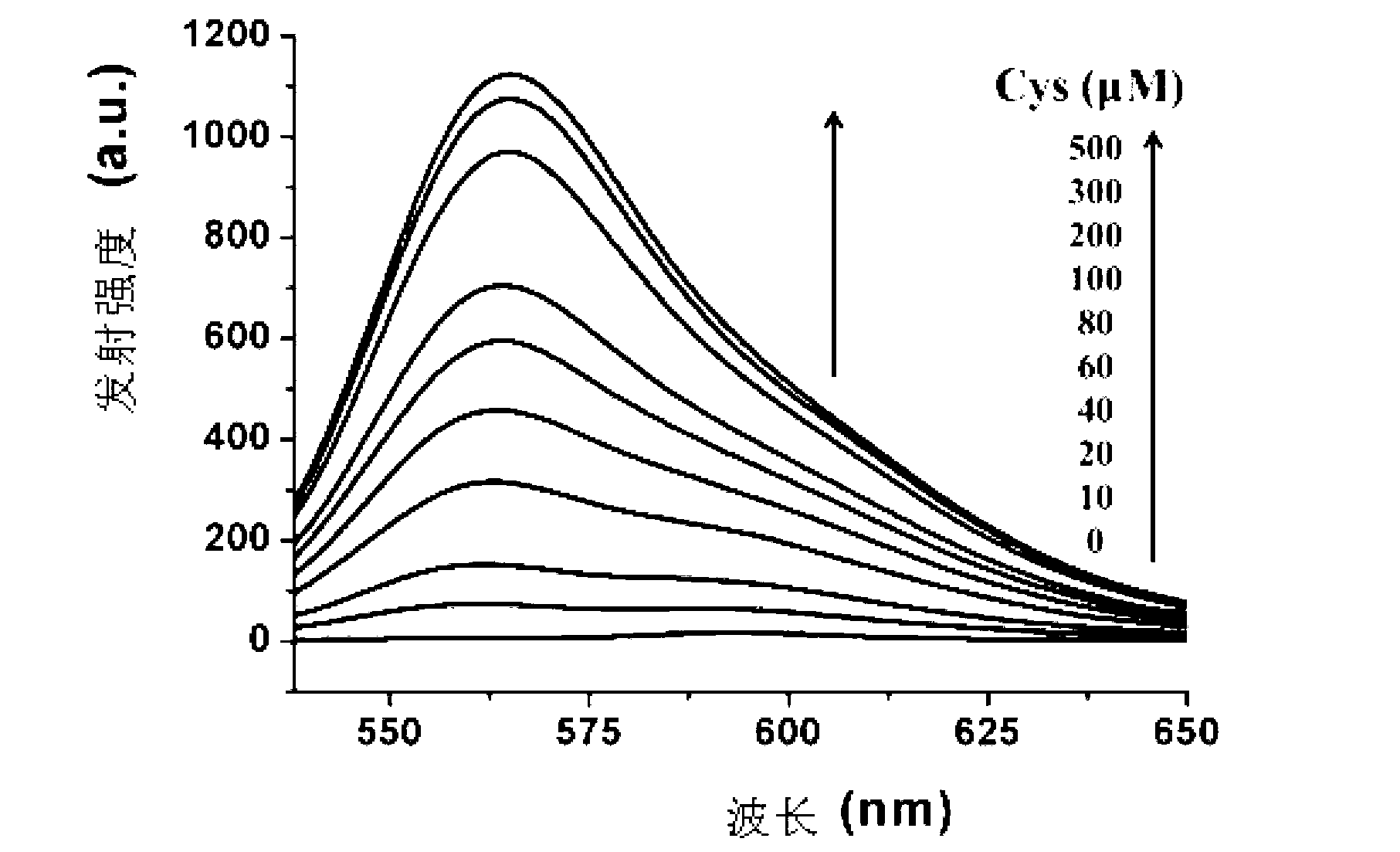 Fluorescence chemical sensor capable of selectively detecting biological sulfhydryl compound, preparation method and application of fluorescence chemical sensor