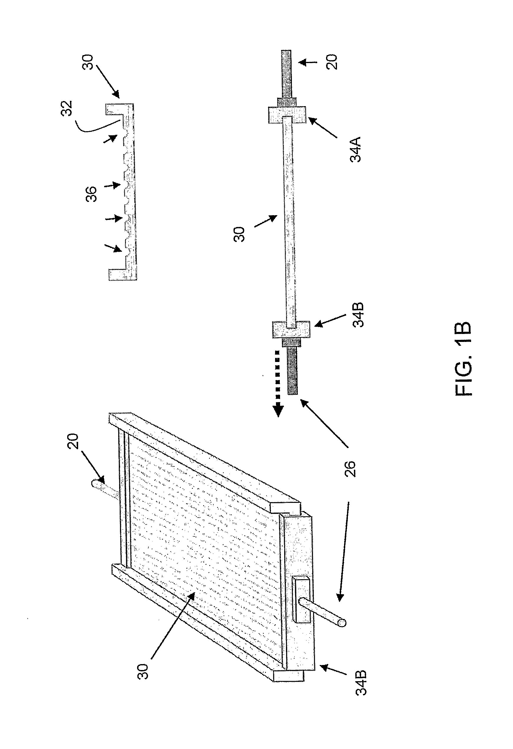 Compartmental extract compositions for tissue engineering