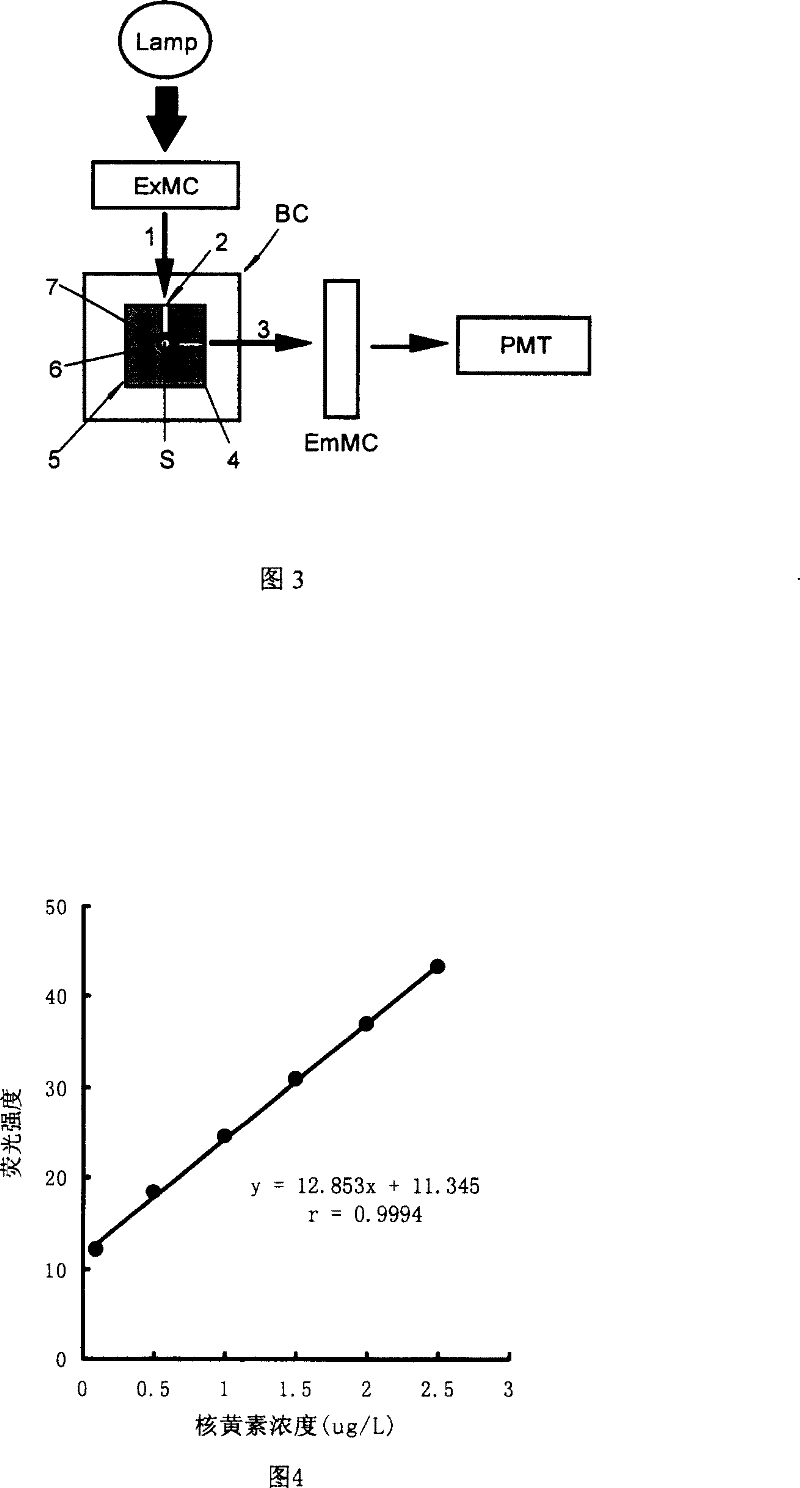 Fluorescent capillary reaction device and fluorescent capillary analysis method