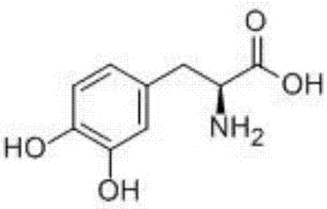 Fermentation culture medium and fermentation method for producing levodopa