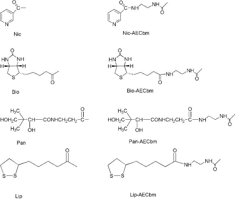 Luteinizing hormone-releasing hormone (LHRH) antagonist derivative, preparation method of LHRH antagonist derivative and application of LHRH antagonist derivative
