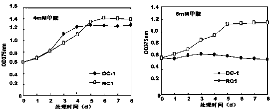 Rhodobacter capsulatus strain RC1 and applications thereof