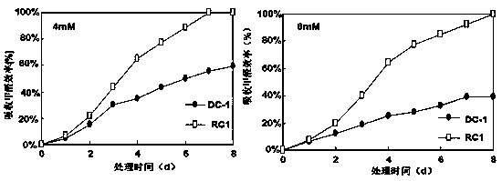 Rhodobacter capsulatus strain RC1 and applications thereof