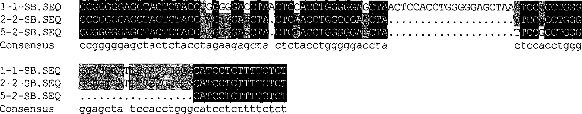 Major gene for porcine intramuscular fat deposition and molecular marker thereof