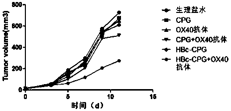 Immune complex as well as preparation method and application thereof