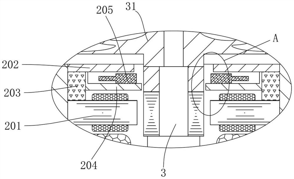 Hydrogen circulating pump