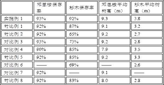 Method for constructing eucalyptus dunnii and cunninghamia lanceolata mixed forest in Nanling mountainous region