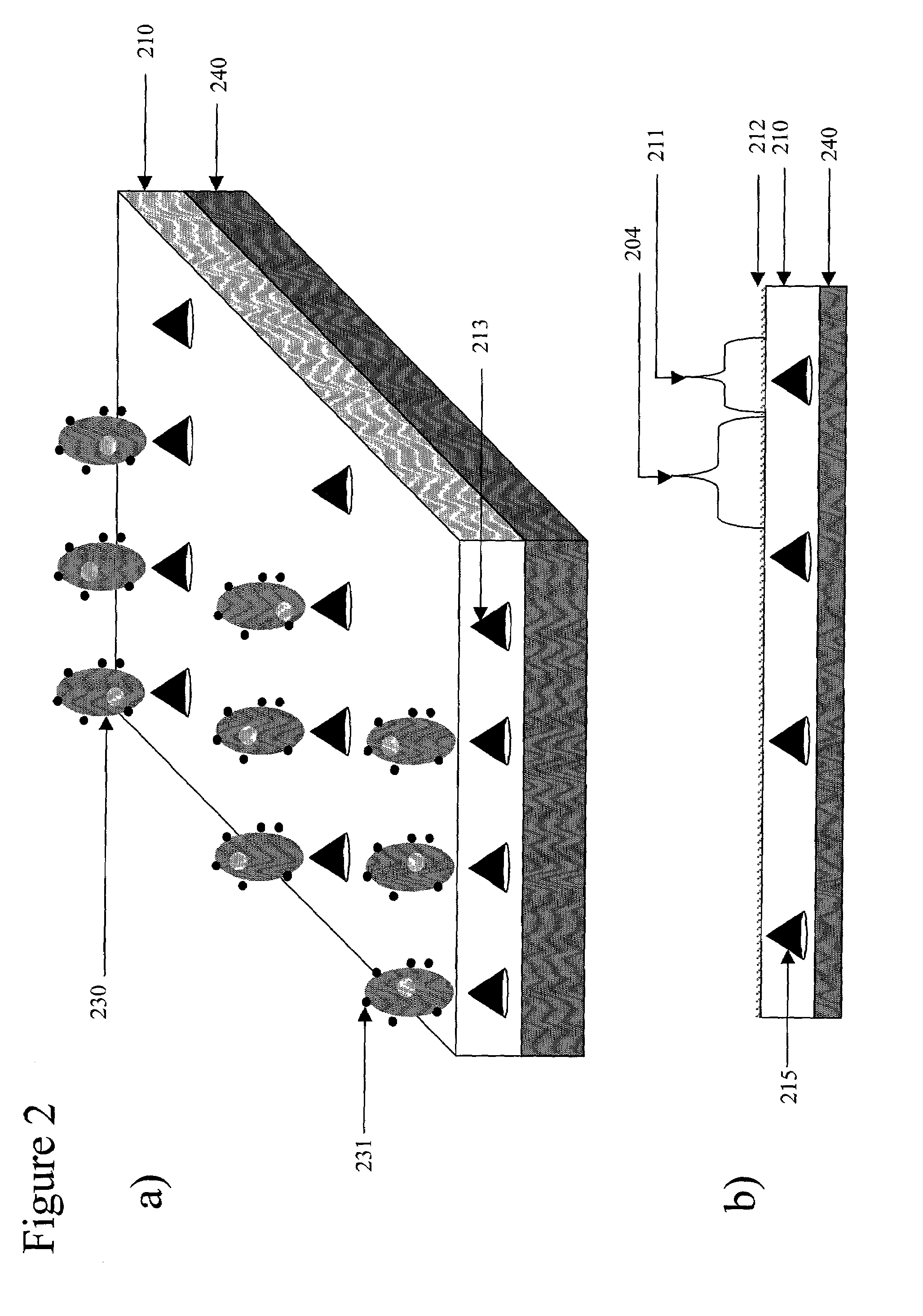 Device for magnetic immobilization of cells