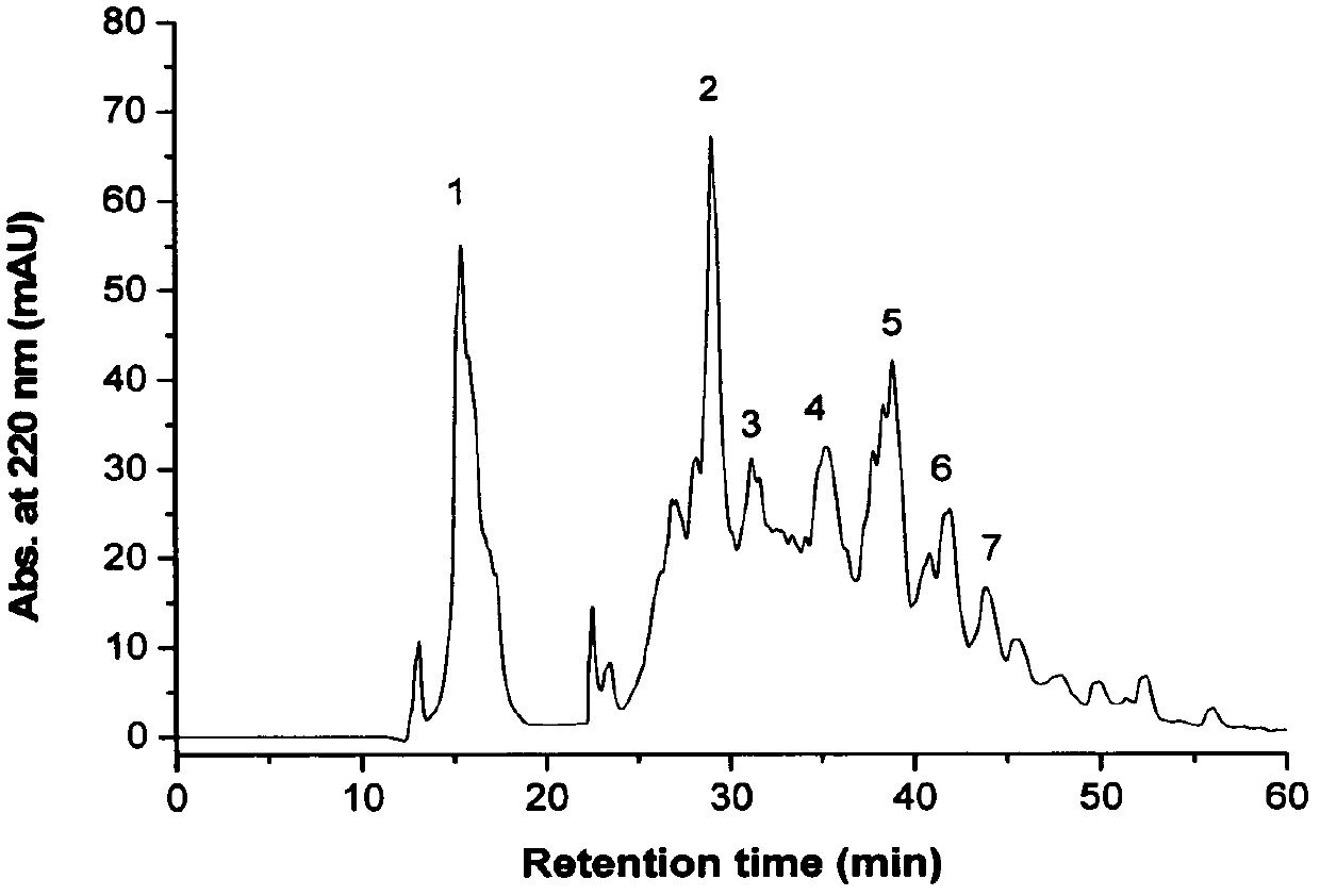 Antioxidant active peptide and preparation method thereof