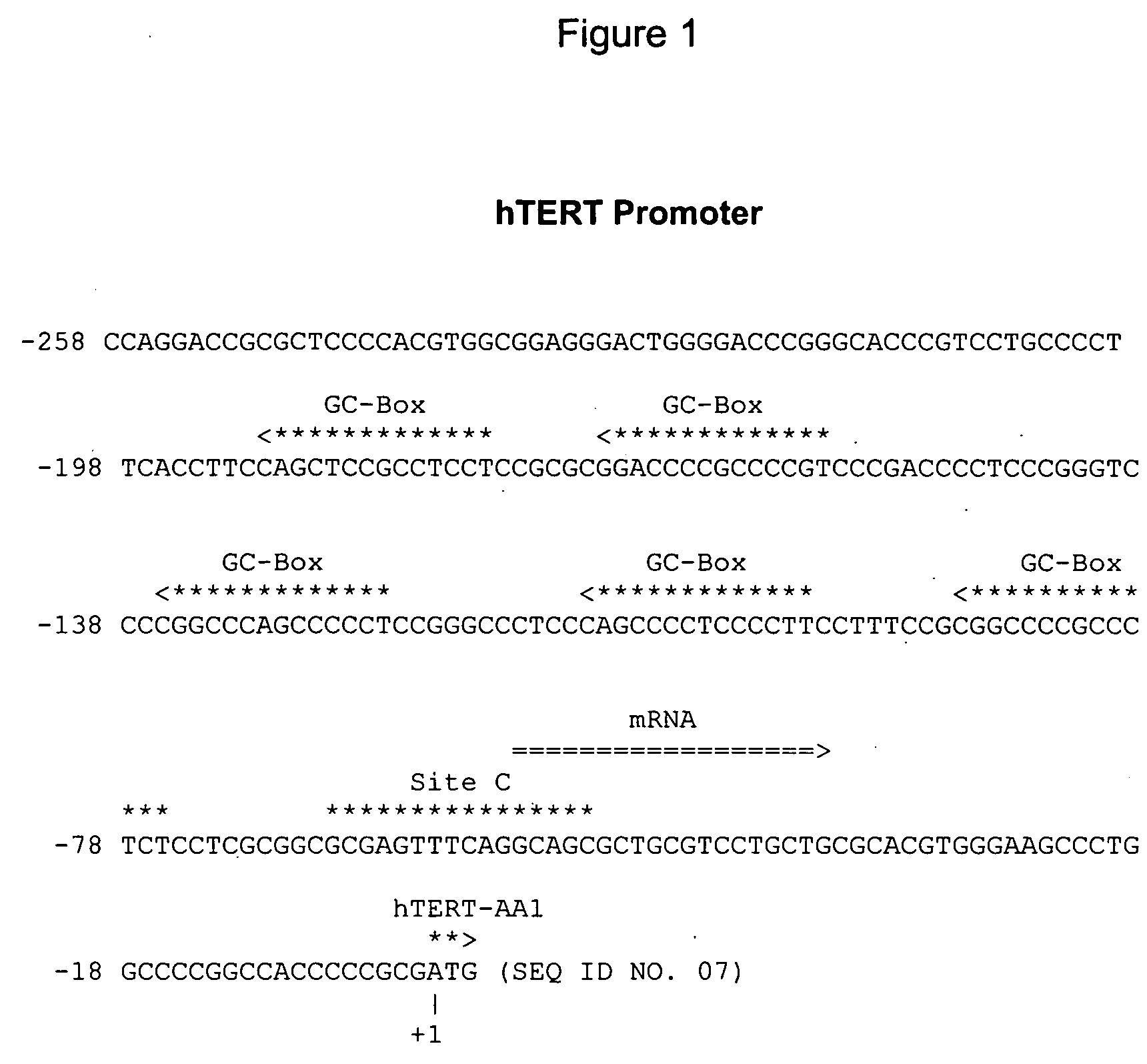 Assays for TERT promoter modulatory agents