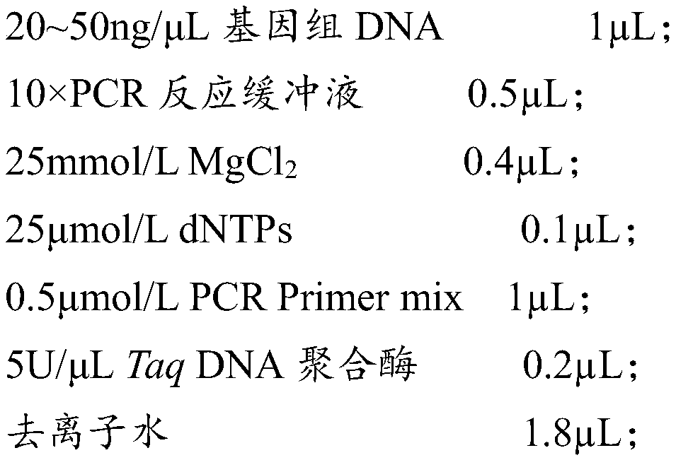 SNP molecular marker related to sheep prolificacy, and detection kit and application thereof