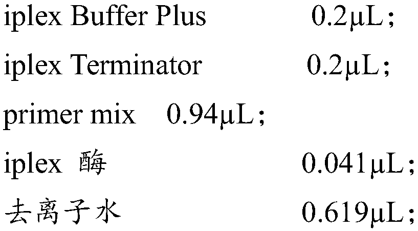 SNP molecular marker related to sheep prolificacy, and detection kit and application thereof