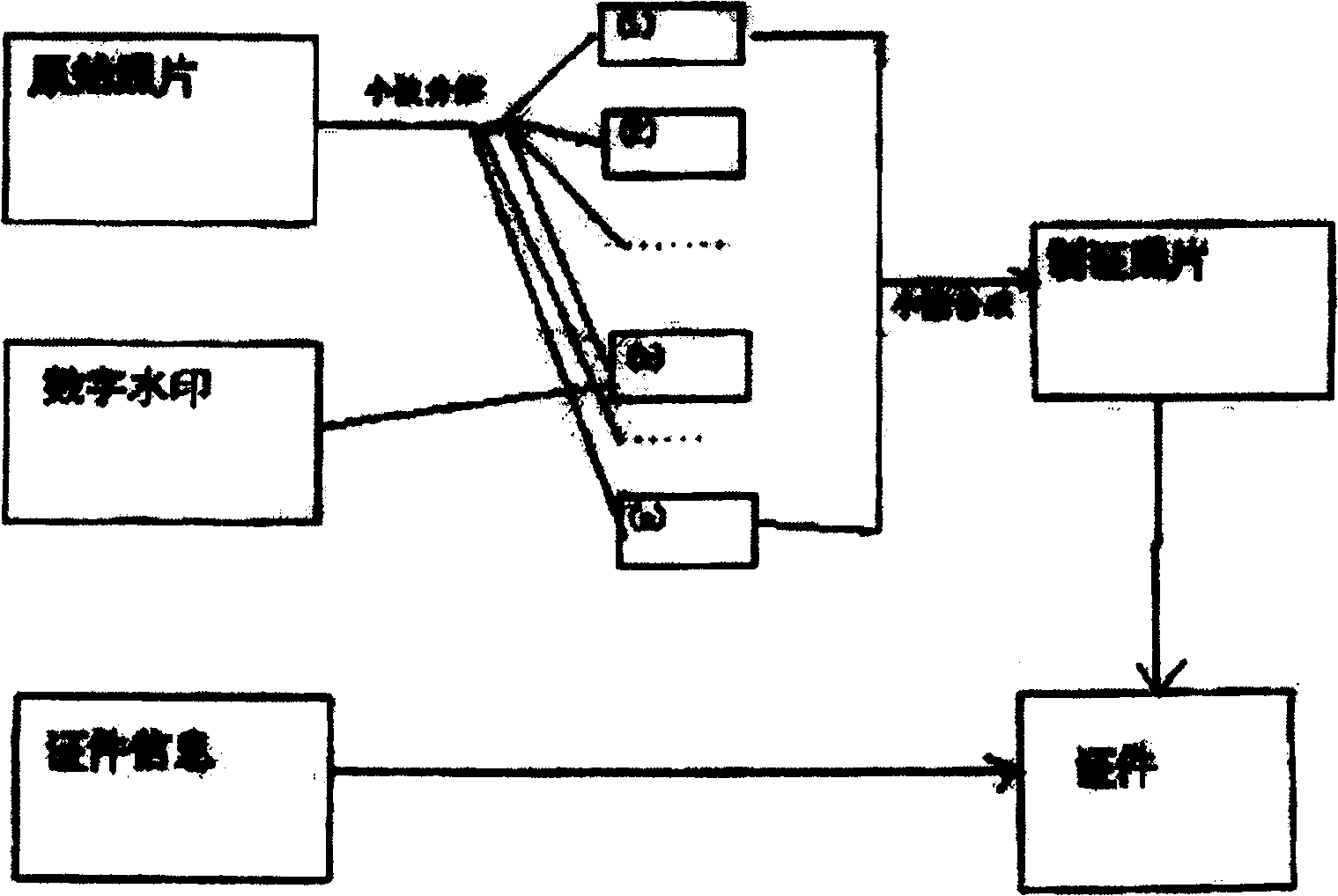 Certificate making and detecting method based on wavelet analysis