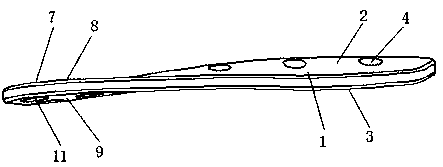 Fixation system for spinae scapulae during anatomy