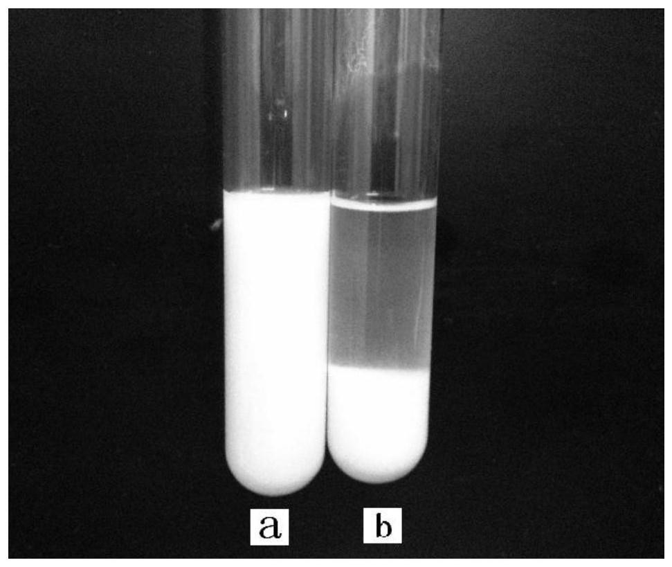 A kind of modified hydroxyapatite composite polycaprolactone-chitosan bilayer film and preparation method thereof