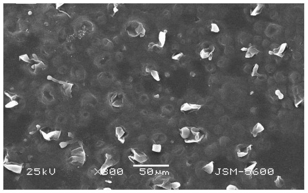 A kind of modified hydroxyapatite composite polycaprolactone-chitosan bilayer film and preparation method thereof
