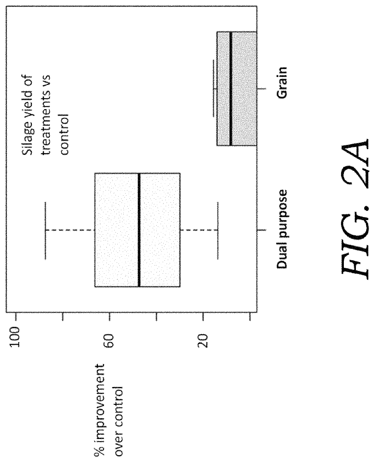 Endophytic microbial seed treatment formulations and methods related thereto for improved plant performance