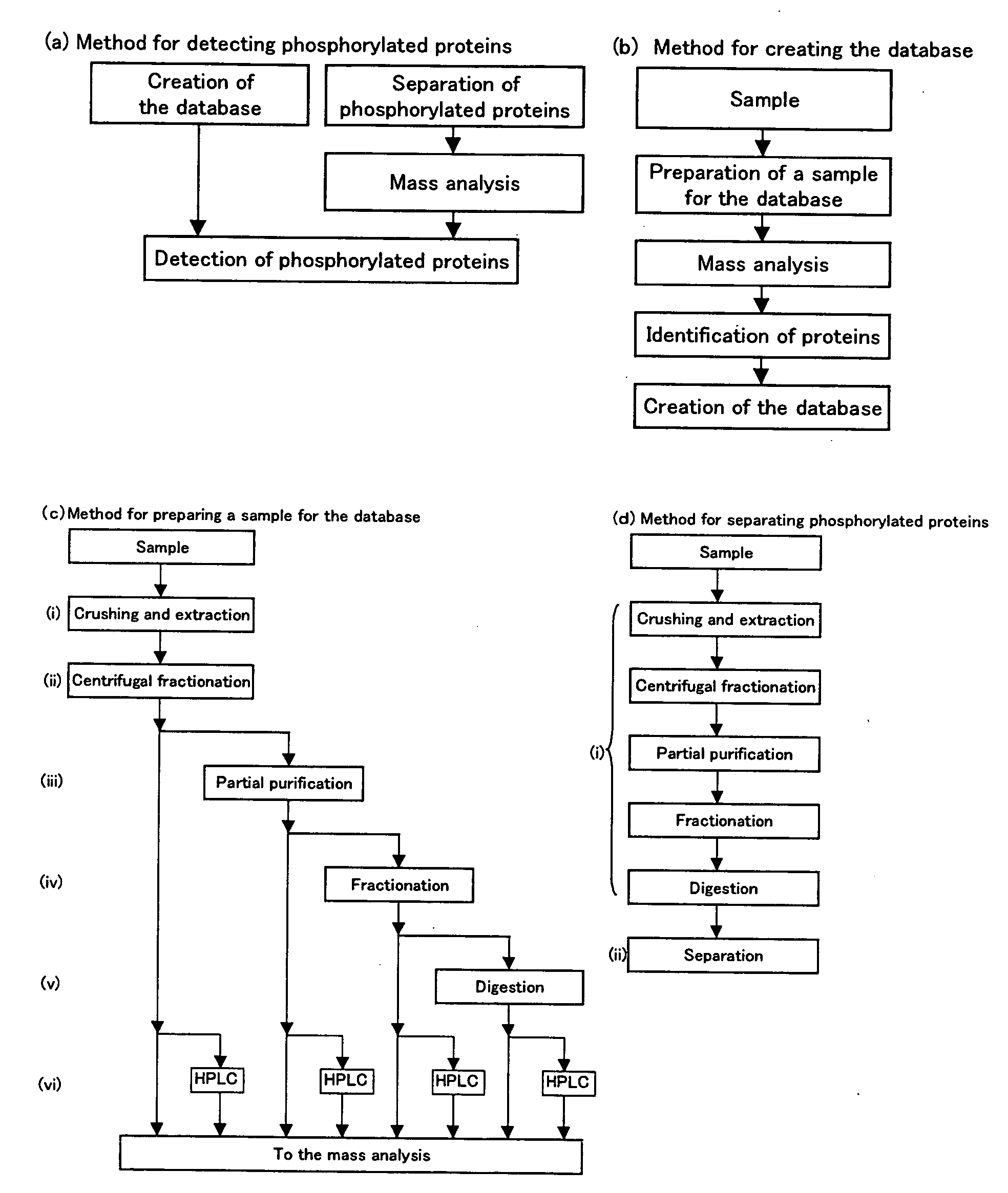 Method of Proteome Analysis for Phosphorylated Protein