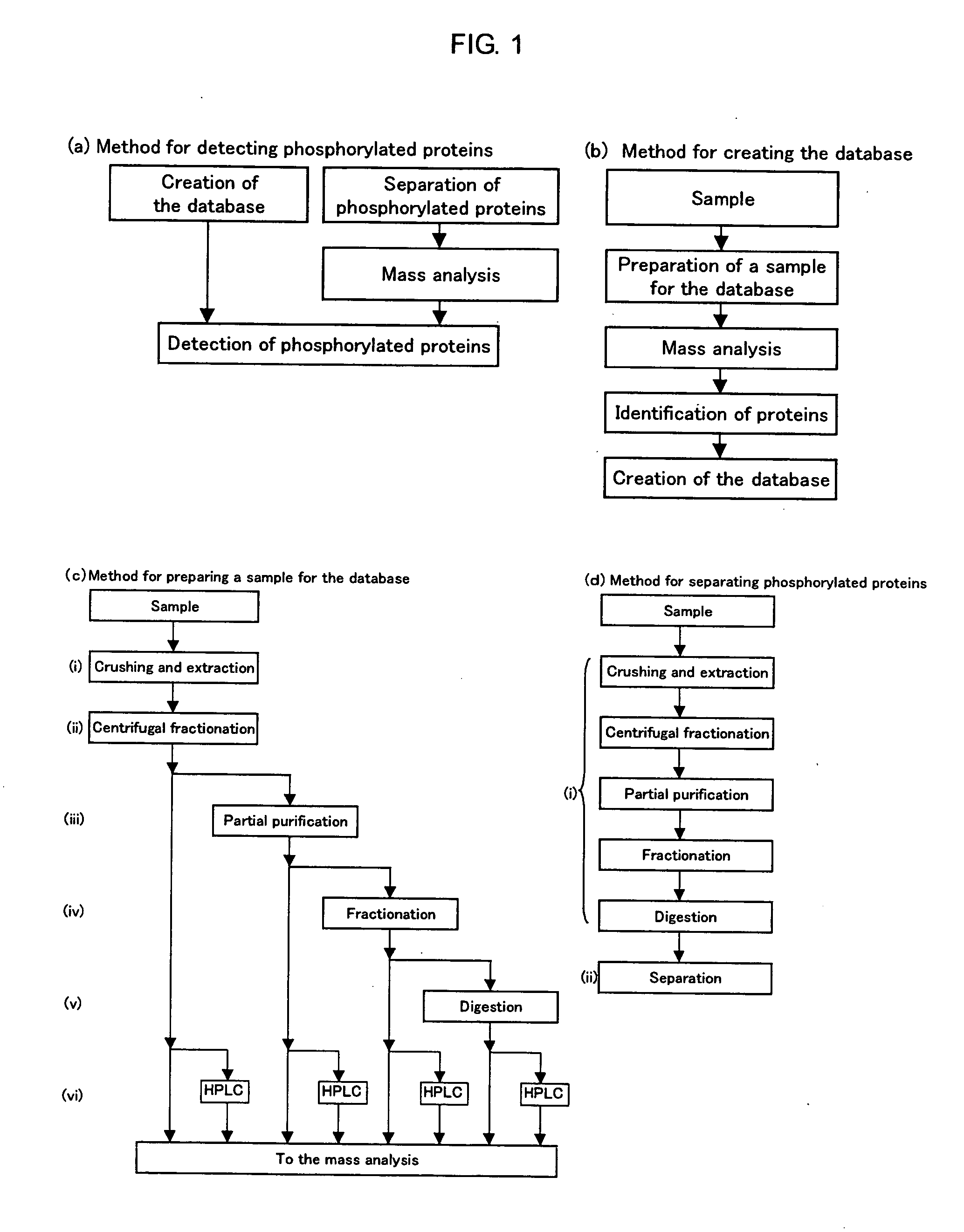 Method of Proteome Analysis for Phosphorylated Protein