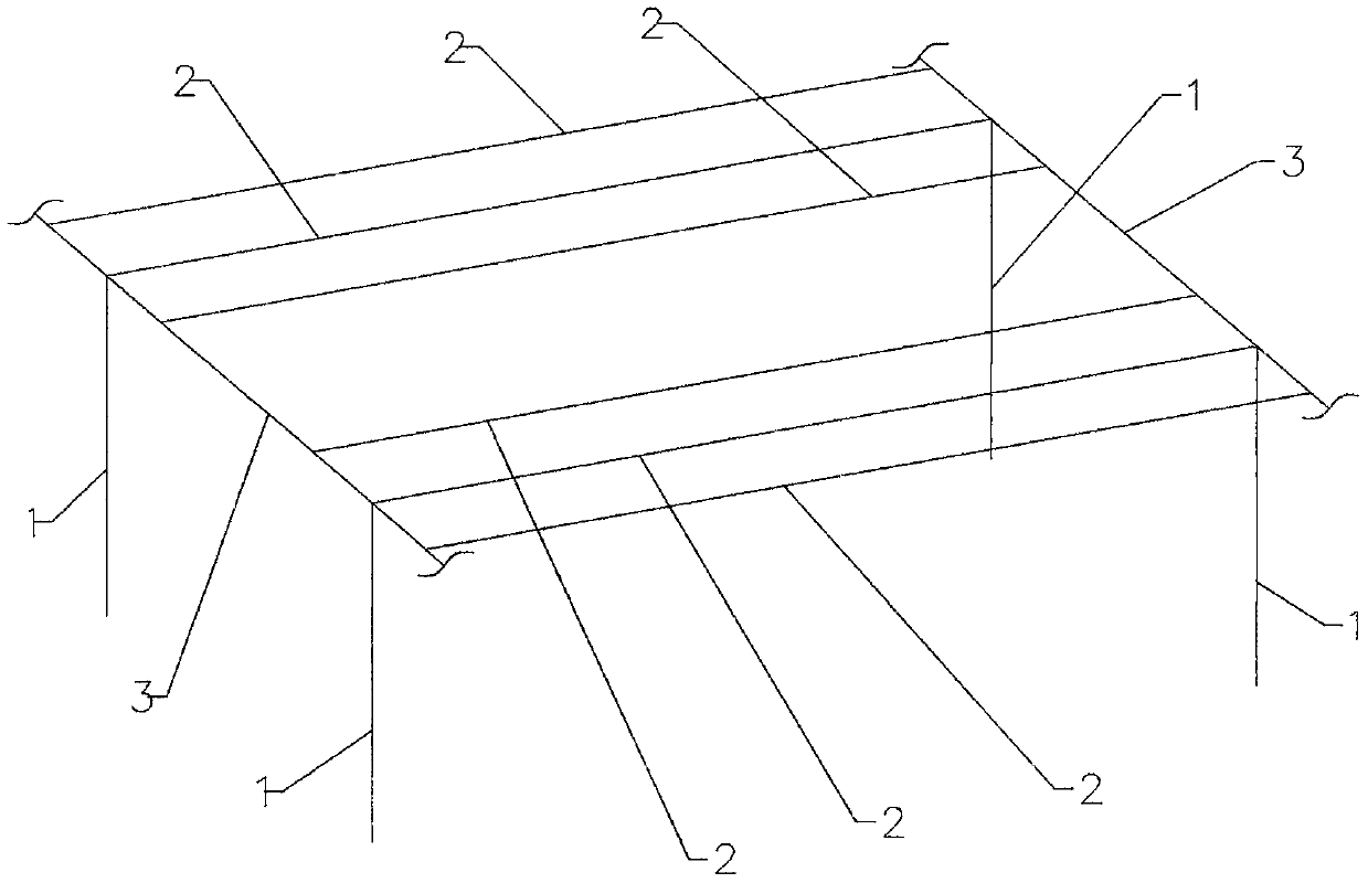 Hanging one-sided leaning technology of grape