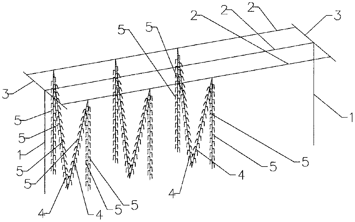 Hanging one-sided leaning technology of grape