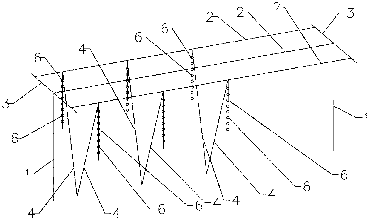 Hanging one-sided leaning technology of grape