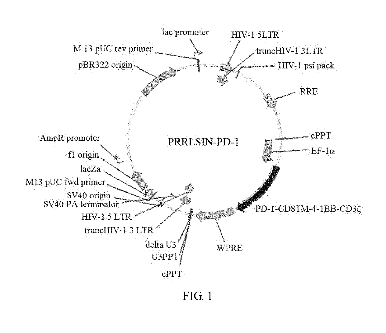 Pd-1 car nk-92 cell and preparation method and use thereof