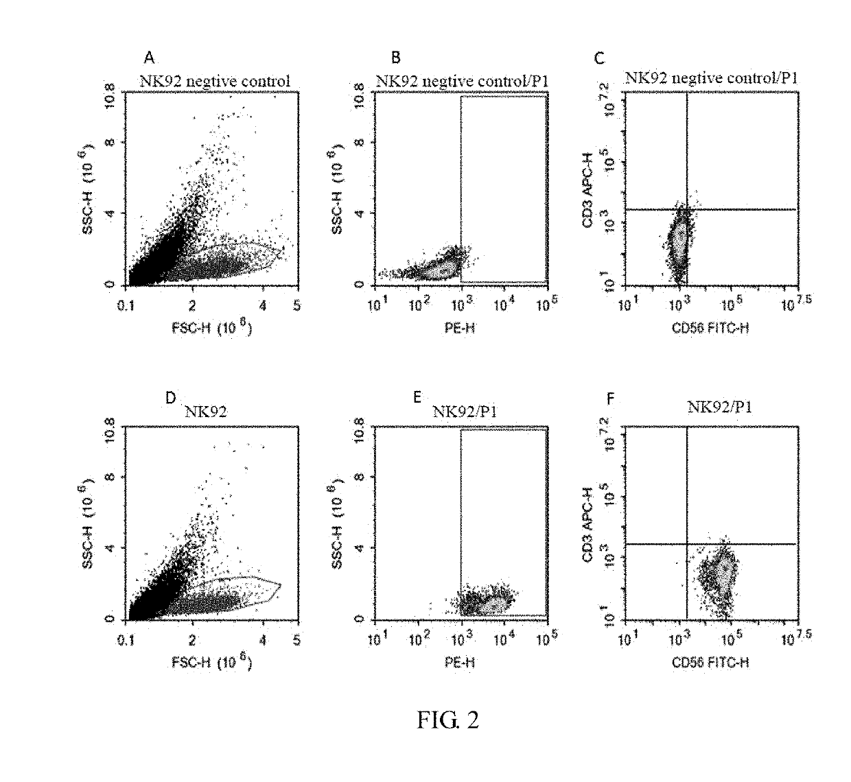Pd-1 car nk-92 cell and preparation method and use thereof