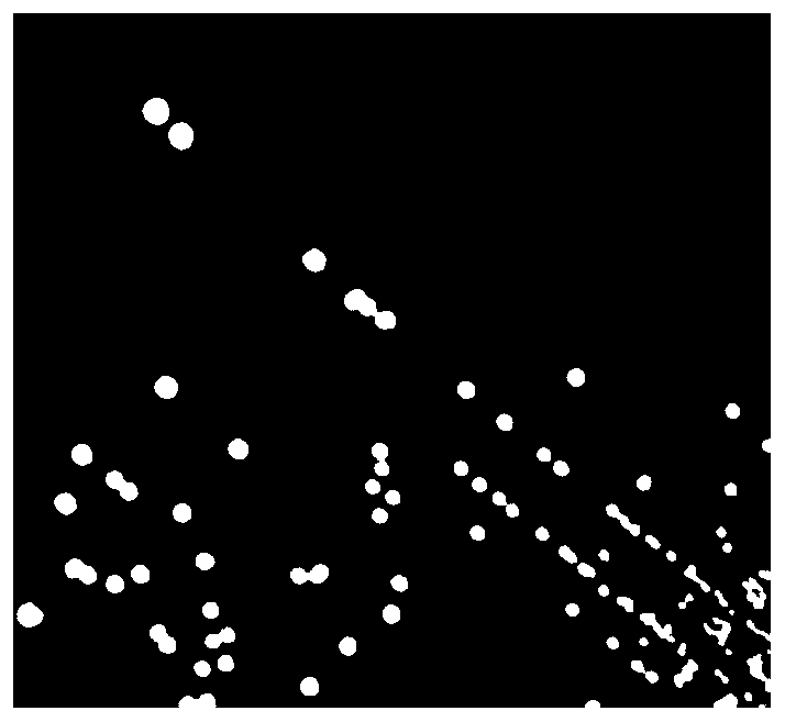 A kind of compound lactic acid bacteria microecological preparation and its preparation method and application