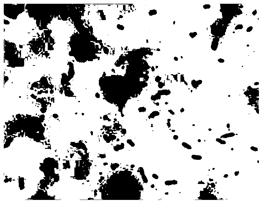 A kind of compound lactic acid bacteria microecological preparation and its preparation method and application