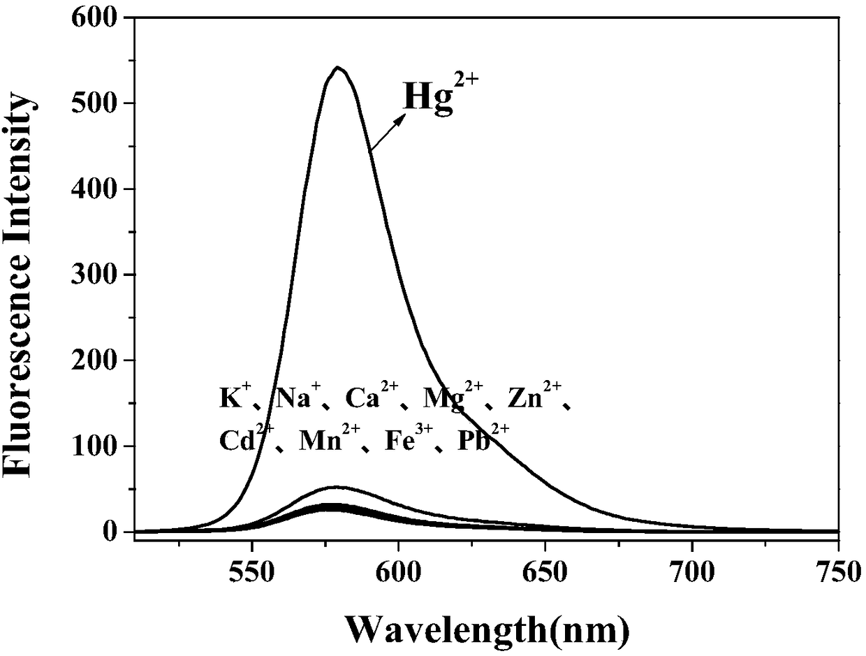 Fluorescent probe for detecting biological cells Hg&lt;2+&gt; and synthetic method of fluorescent probe