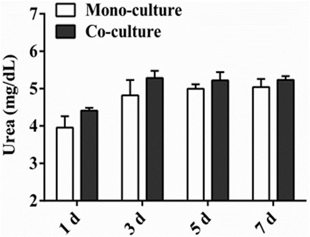 Cell culture method for improving hepatocyte proliferation activity