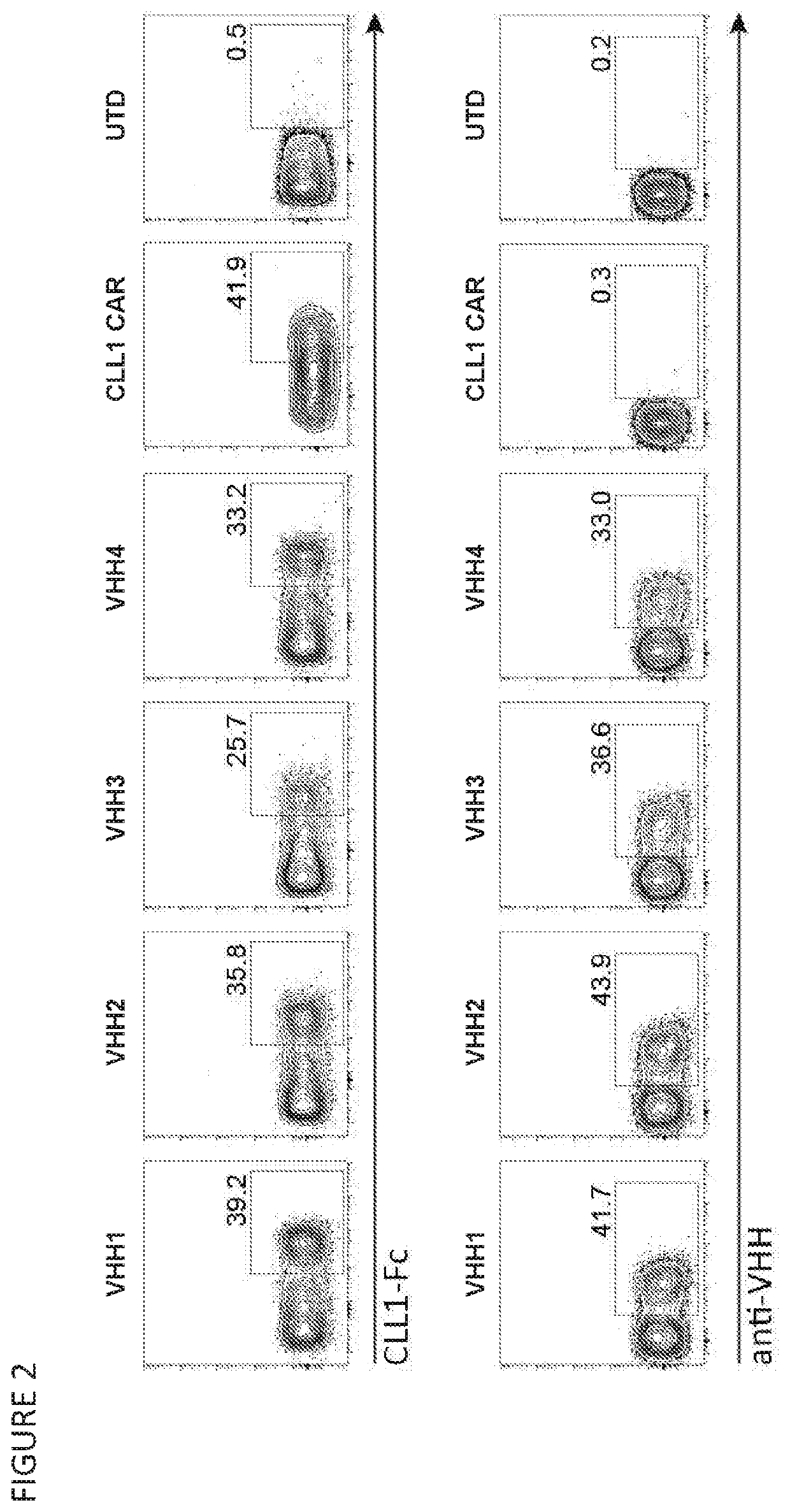 Cll-1 targeted immunotherapies