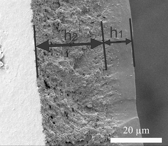 A controllable self-curling polyurethane film and its preparation and application